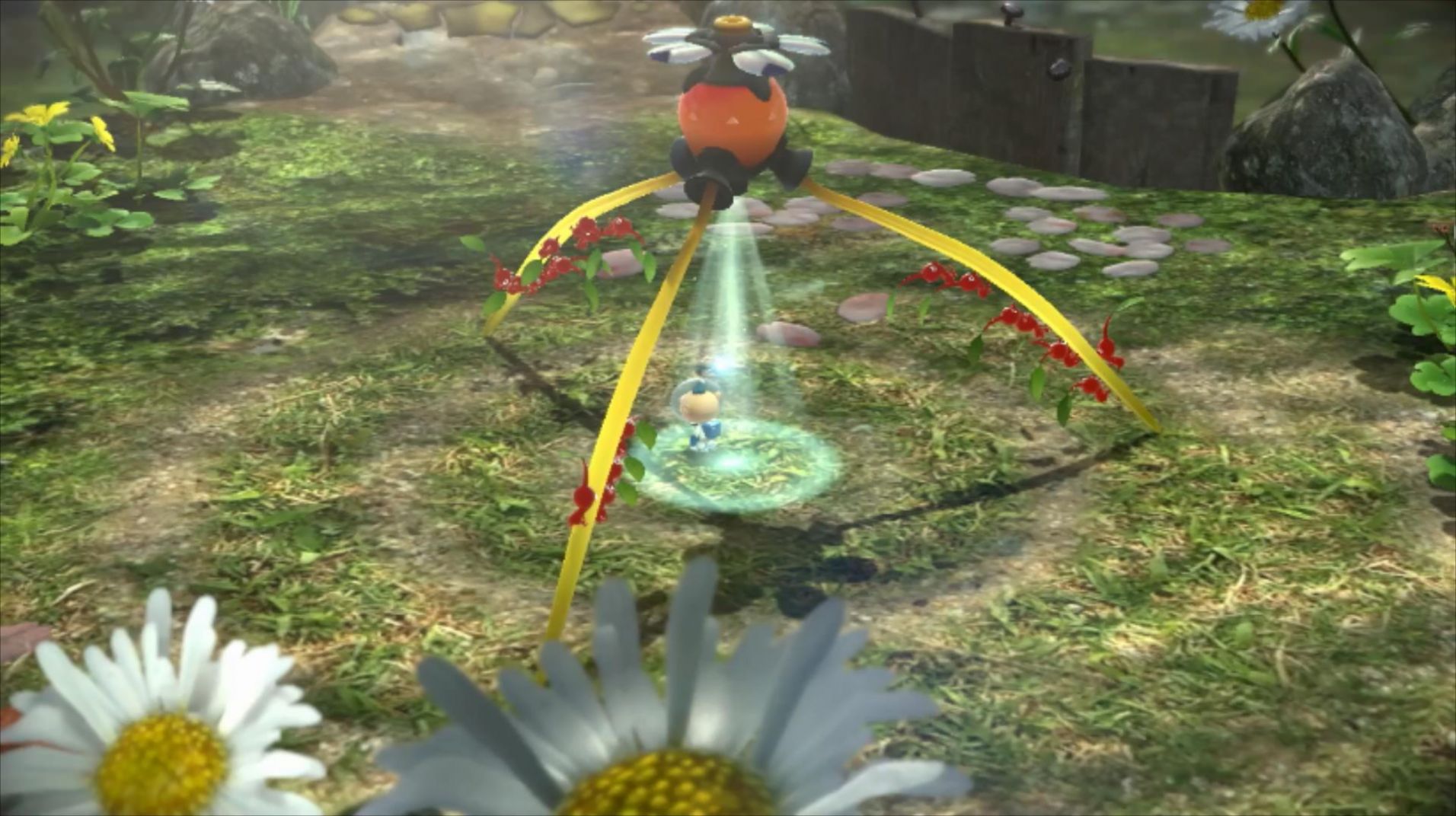 pikmin Bloom AR游戏手机中文版  v5.1.1