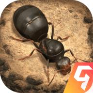 小小蚁国九游版