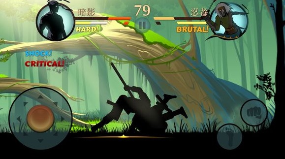 暗影格斗2 v2.5.1