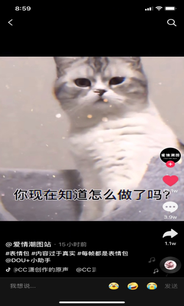 你要去睡觉你和我说晚安了吗表情包 1.0