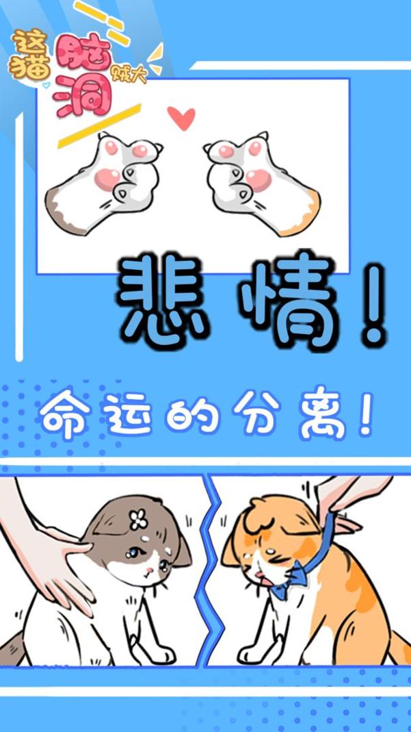 这猫脑洞贼大 v1.0