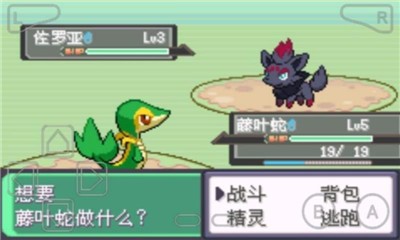 口袋妖怪漆黑的魅影5.0中文版