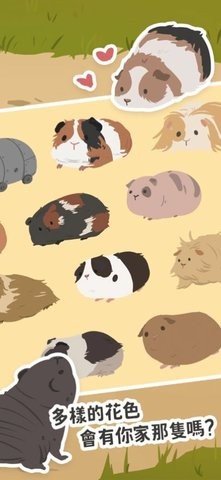 天竺鼠农场安卓版  v0.1.3