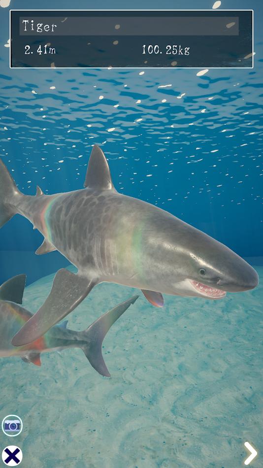 鲨鱼海洋 v1.1.0