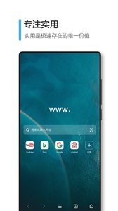 极速浏览器  v3.7.1103