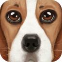 UltDogSim(终极狗狗模拟器)