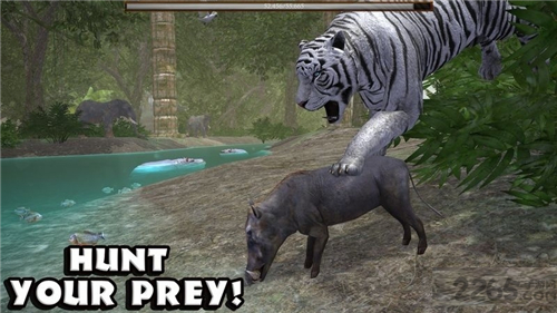 终极丛林模拟器 v1.04