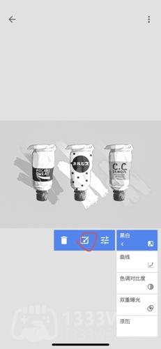 一片树叶软件Snapseed