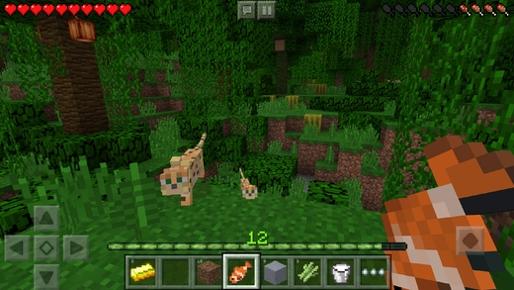 我的世界（Minecraft-PocketEdition） v3.1.5