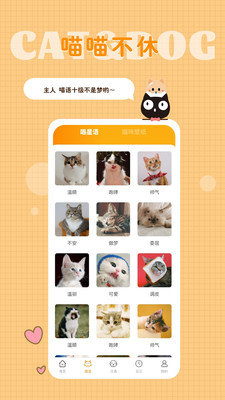 猫语狗语转换器 v1.3.0