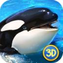 虎鲸攻击模拟3D游戏