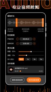 口袋录音机大师截图1