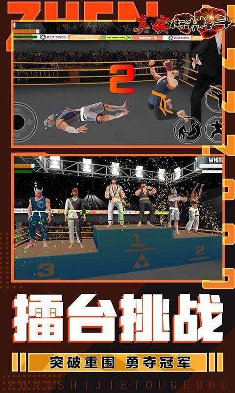 真实街头格斗游戏安卓版  v3.3.1
