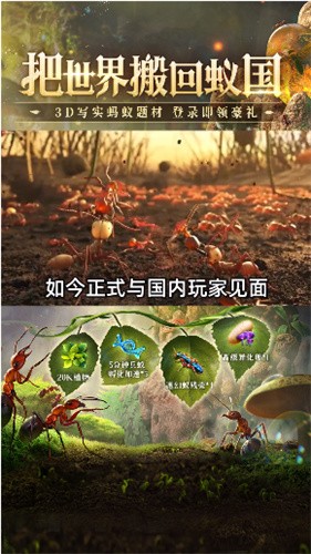 蚁族总动员  v1.31.1