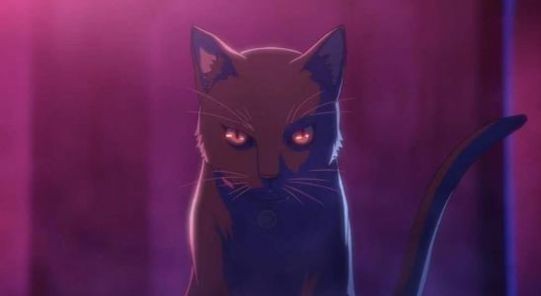 全员恶玉 2024-06-25 15:08