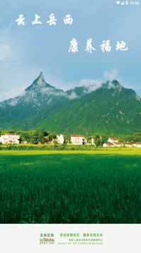 岳西在线截图0