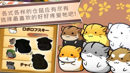 精灵与老鼠截图2