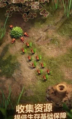 蚂蚁地下王国1.10.0下载手机版官方最新版 