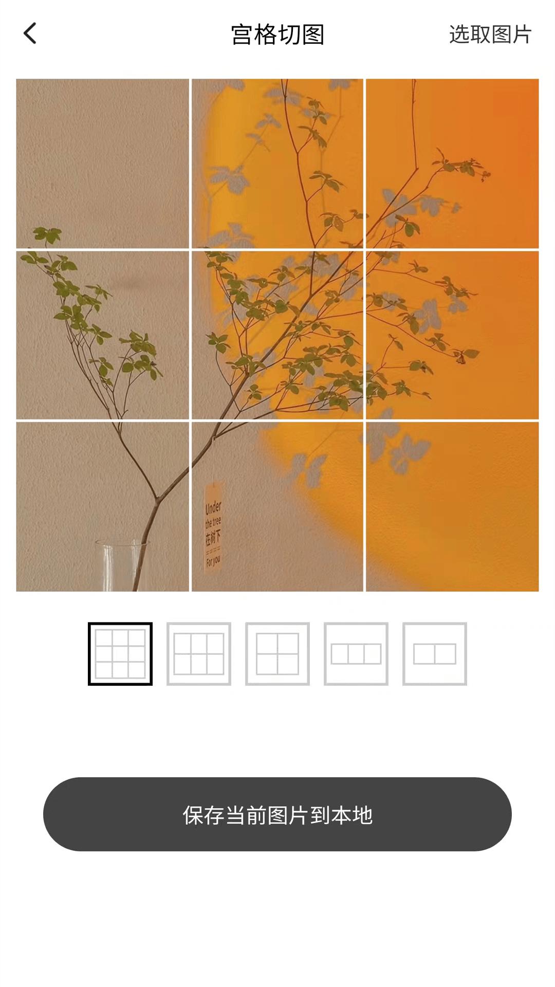 兔子下载截图1