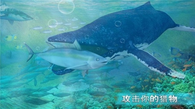 全民养鲨鱼红包版