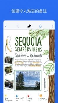 Notability11.0.2 v3.0.5