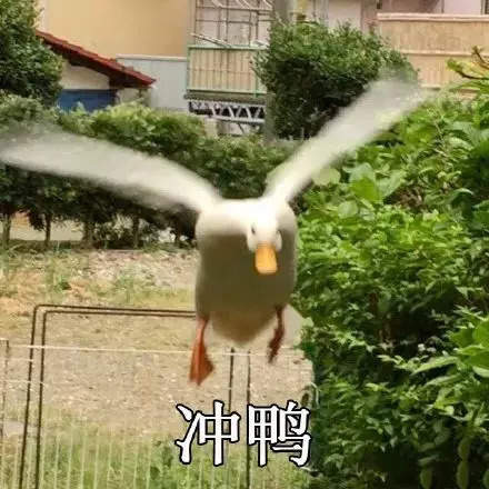 1609839608613097.jpg 1609839608613097.jpg