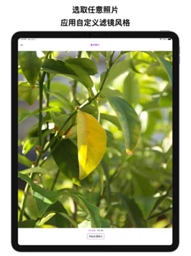 艺术家滤镜  V 1.0