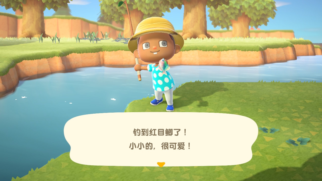 Pocket Camp(集合啦动物森友会手机版最新)