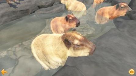 水豚温泉 v3.1.5