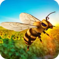 黄蜂生活