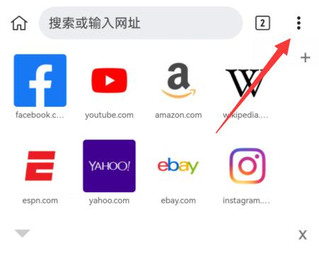 Kiwi浏览器中文版