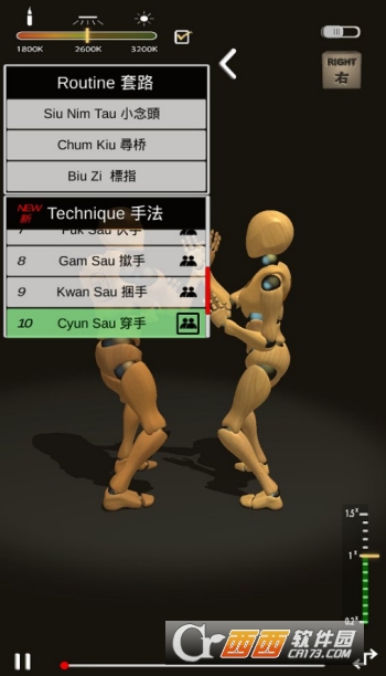 咏春拳师Wing Chun Trainer