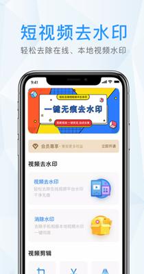 去水印君 v1.3.9