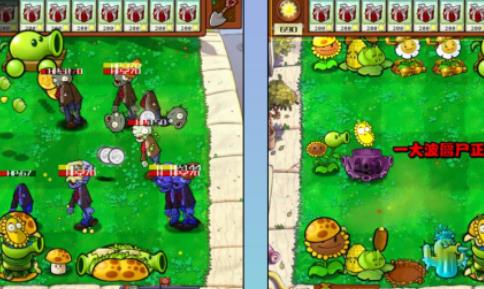 植物大战僵尸杂交版2.2