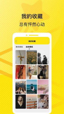 星星壁纸相机 2020-08-23 16:08