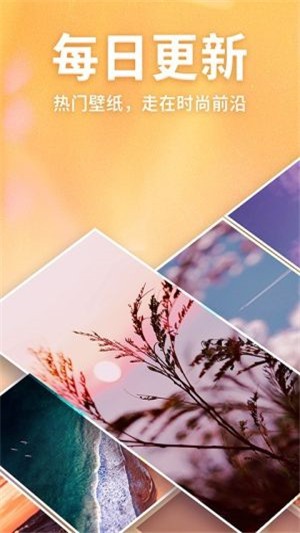 灵猫桌面壁纸 v1.0.1