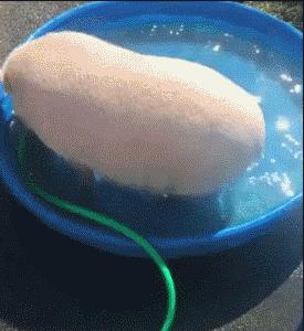 1610607442281975.gif 1610607442281975.gif