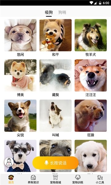 跑狗翻译图 v1.2.1