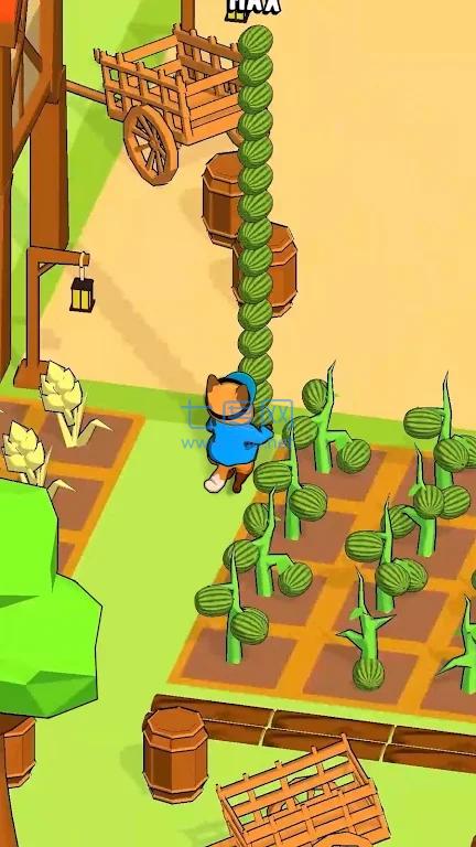 我的动物集市My AnimalMart