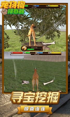 百年宠物模拟器游戏 v1.0