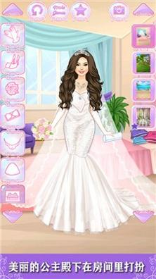 小公主的装扮日志 v1.0