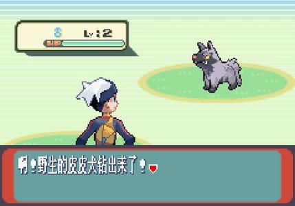 口袋妖怪 红宝石386(悟饭版) v3.2.5