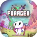 Forager觅食者游戏最新正版下载地址 