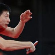 勇敢龙龙不怕困难表情包 v1.0