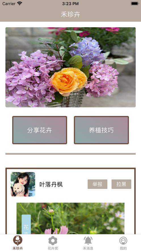 禾小禾珍卉  V 1.0