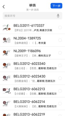 信鸽云  v1.2.11