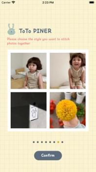 ToTo PINER v3.0.5
