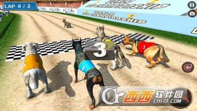 狗赛车锦标赛手游 v1.0.3