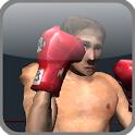 真实拳击 v1.0.2