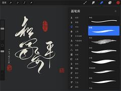 procreate 版本:v4.5.3